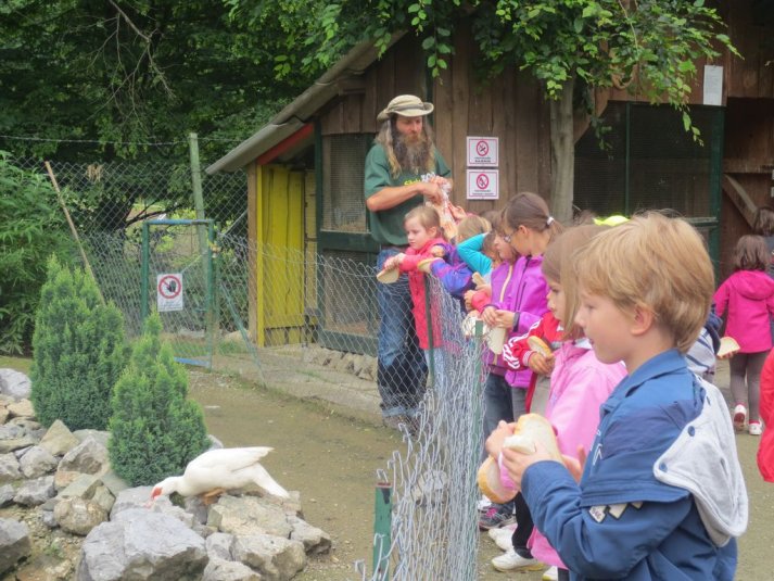 Obisk mini živalskega vrta SikaluZOO