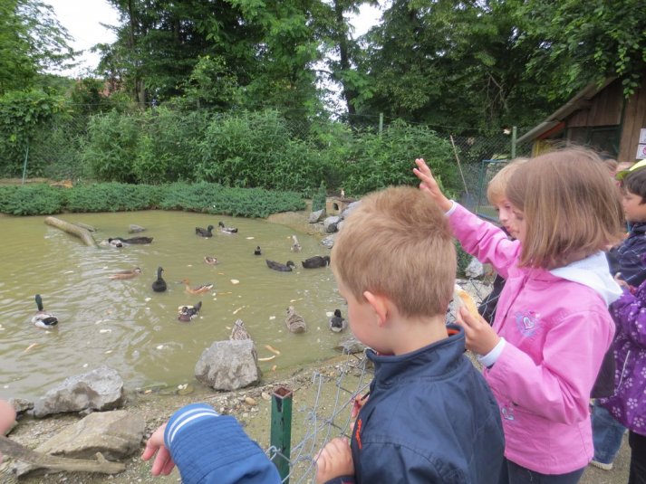 Obisk mini živalskega vrta SikaluZOO