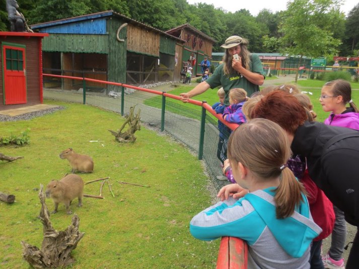 Obisk mini živalskega vrta SikaluZOO
