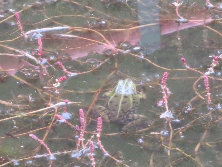 Obisk mini živalskega vrta SikaluZOO