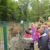 Obisk mini živalskega vrta SikaluZOO