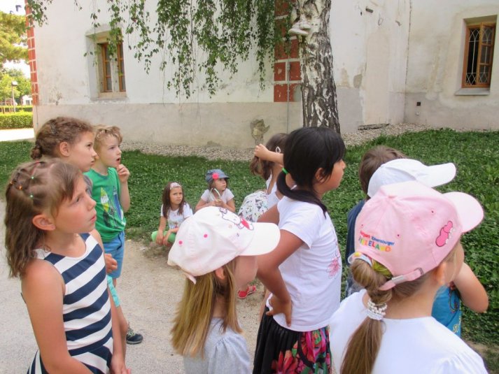 Sprehod po parku danes in nekoč