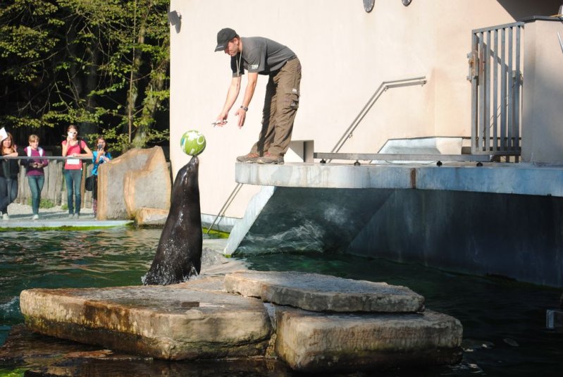 Tehniški muzej in živalski vrt