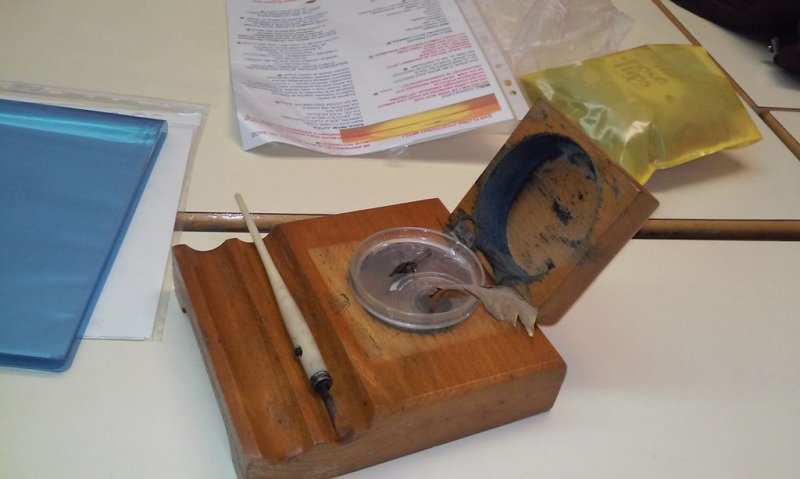 Valova babica na obisku v 1.a