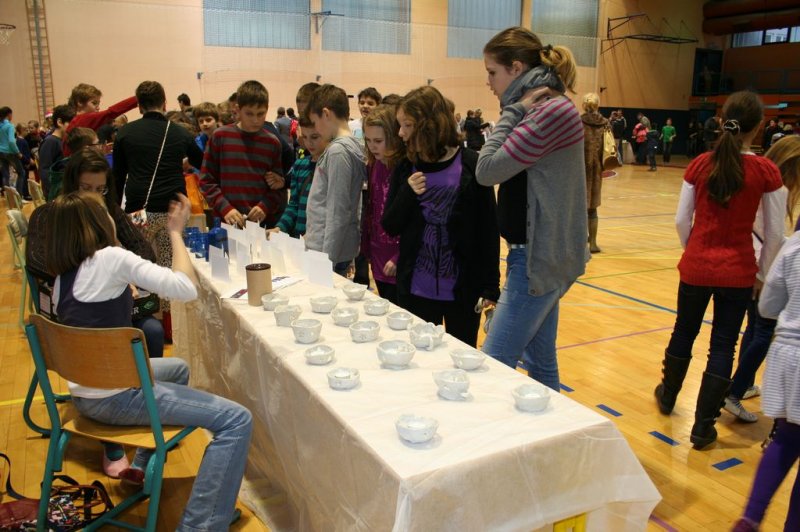Bazar in bolšji sejem 2013