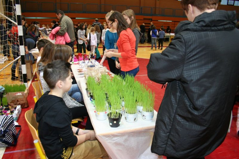 Bazar in bolšji sejem 2013