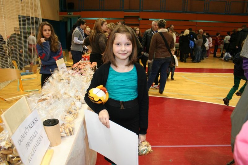 Bazar in bolšji sejem 2013
