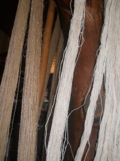 Naravoslovni teden v Črmošnjicah