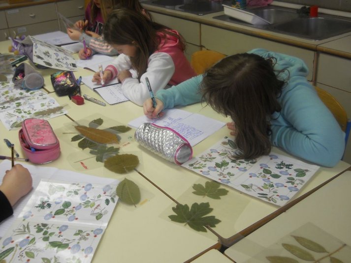 Naravoslovni teden v Črmošnjicah