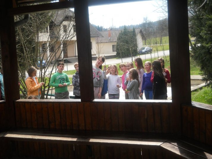 Naravoslovni teden v Črmošnjicah