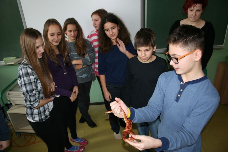 Obiskala nas je kača