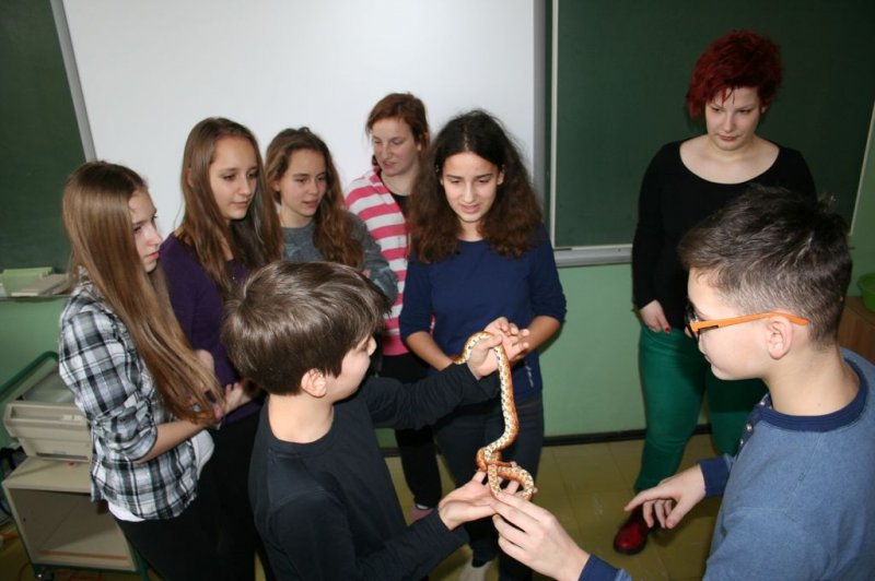 Obiskala nas je kača