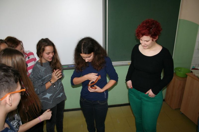 Obiskala nas je kača