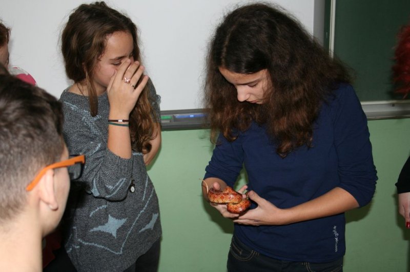 Obiskala nas je kača