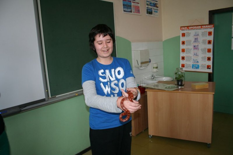 Obiskala nas je kača