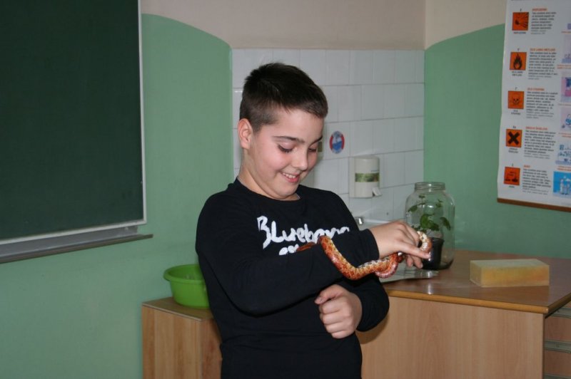 Obiskala nas je kača