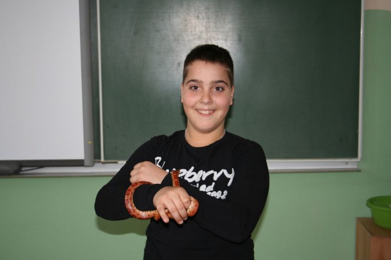 Obiskala nas je kača