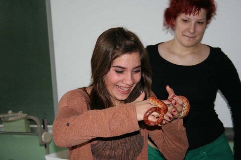 Obiskala nas je kača