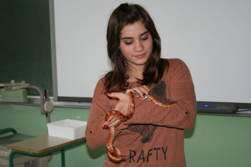 Obiskala nas je kača