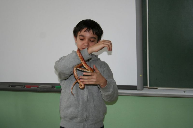 Obiskala nas je kača