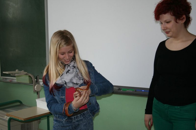 Obiskala nas je kača