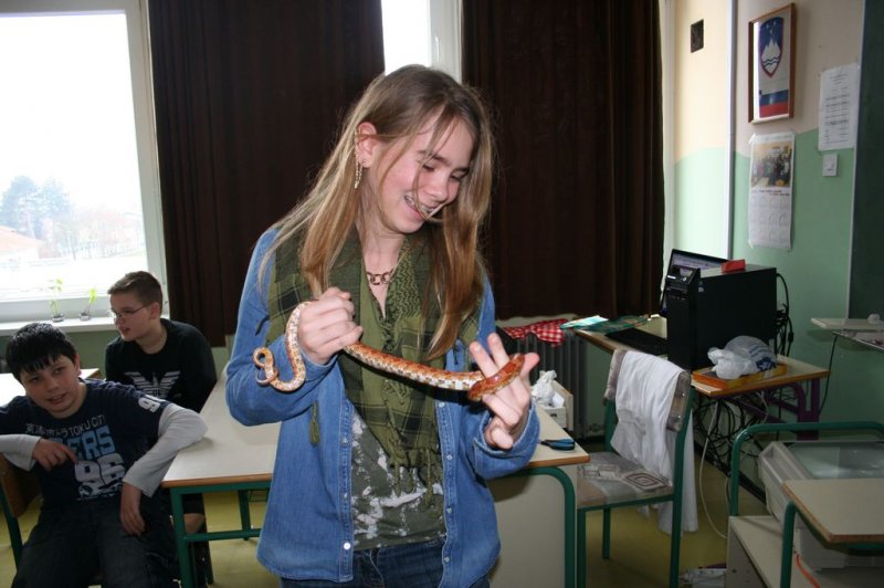 Obiskala nas je kača