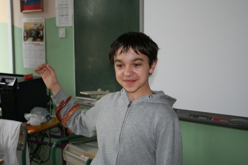 Obiskala nas je kača