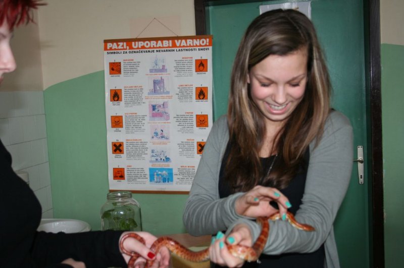 Obiskala nas je kača