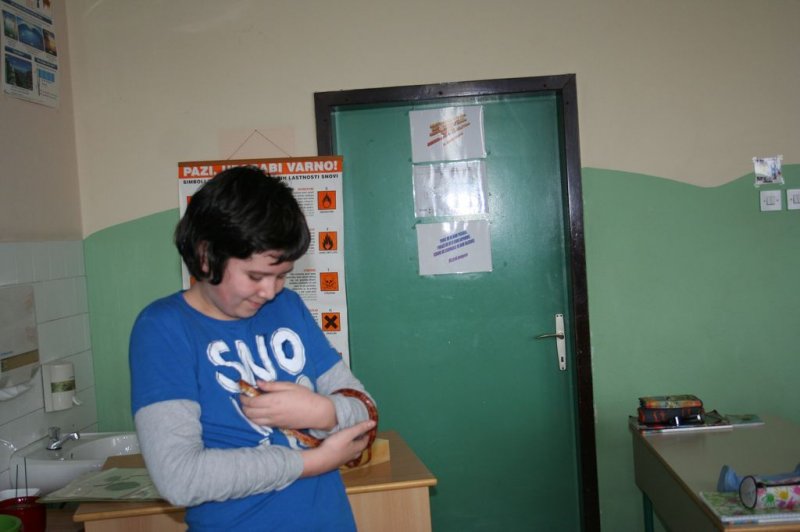 Obiskala nas je kača