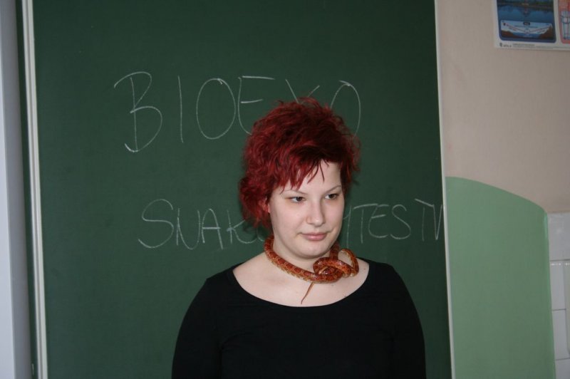 Obiskala nas je kača