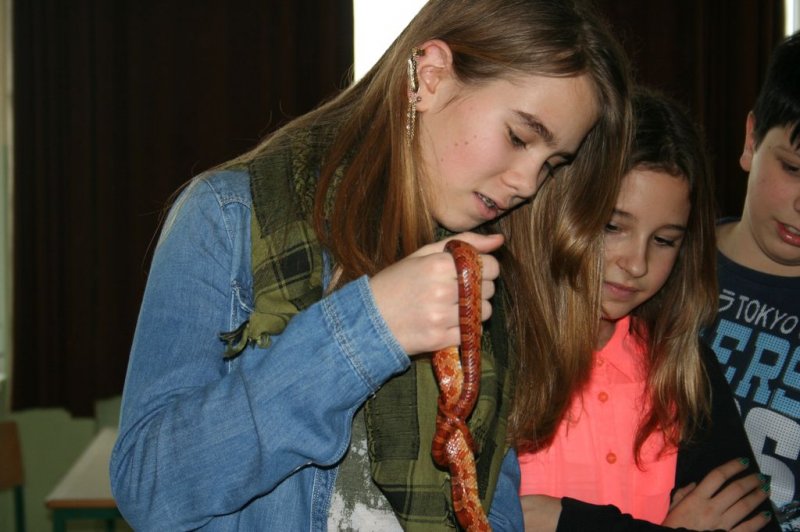 Obiskala nas je kača