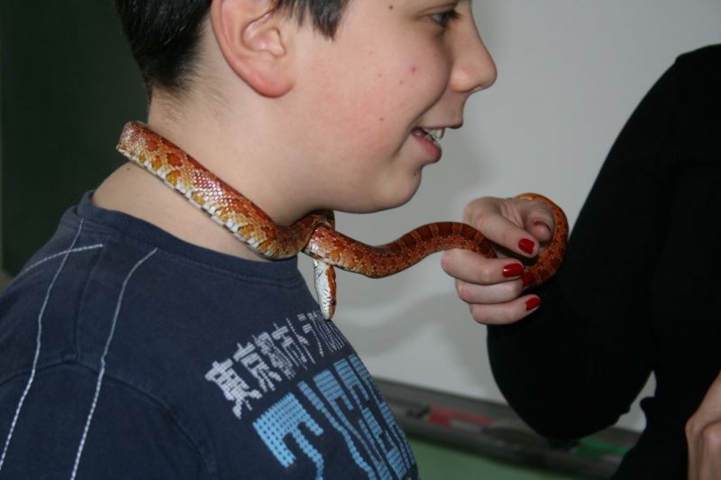 Obiskala nas je kača