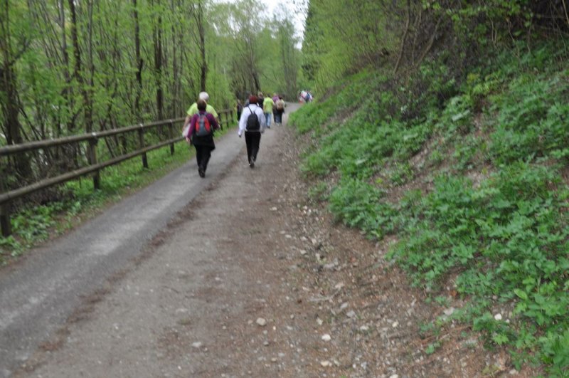 Športno - integrativna prireditev