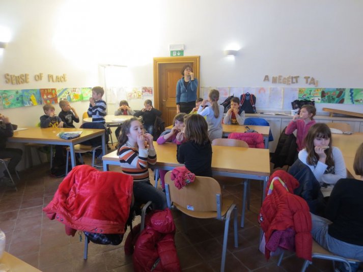 Ljudska glasba v Pomurskem muzeju Murska Sobota