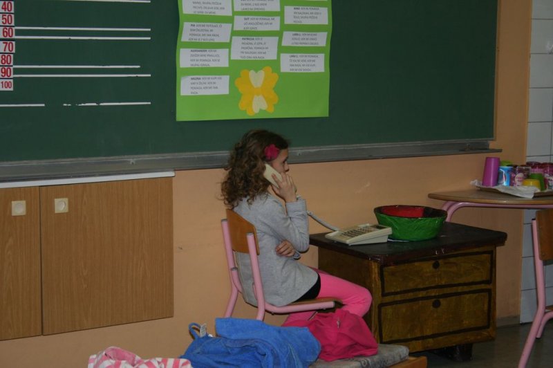 Materinski dan v 2.b