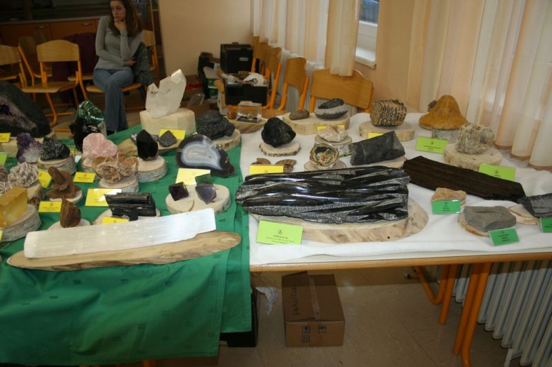 Razstava fosilov in mineralov