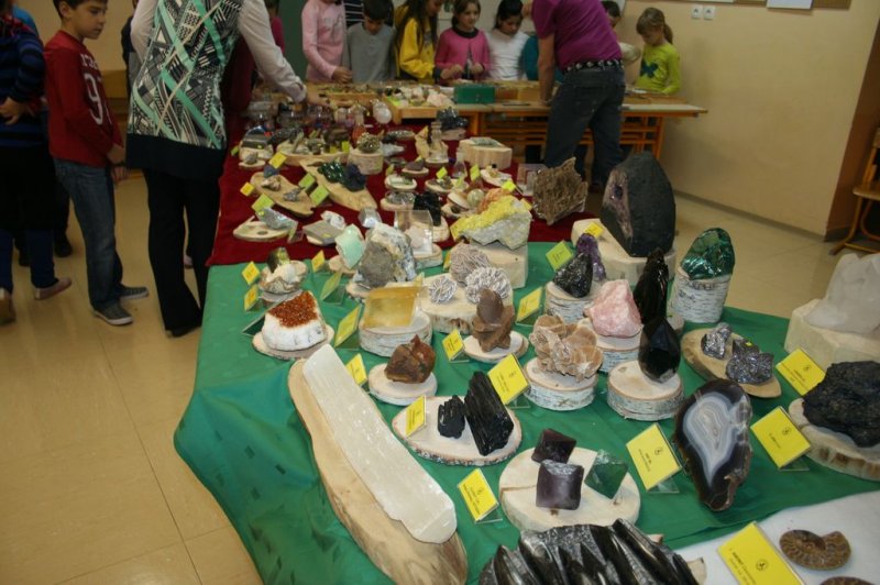 Razstava fosilov in mineralov