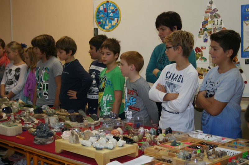 Razstava fosilov in mineralov