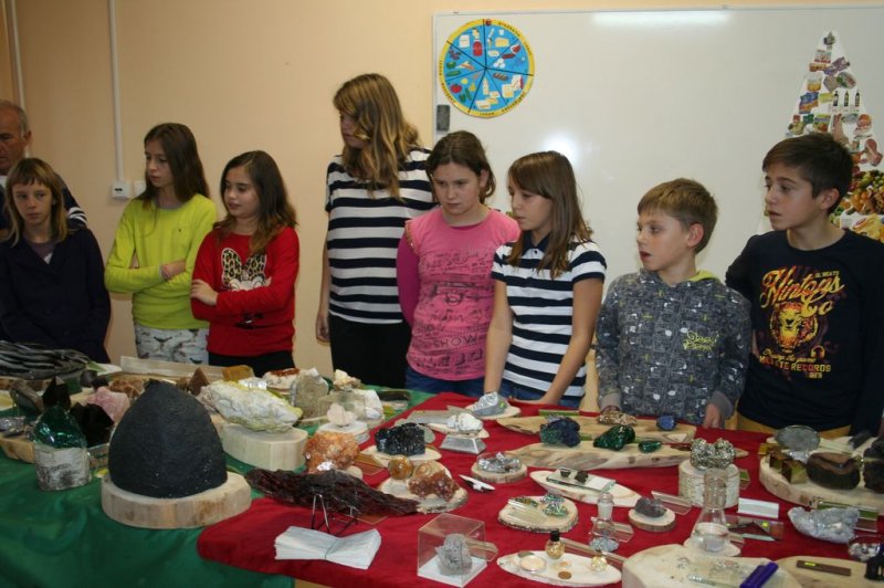 Razstava fosilov in mineralov