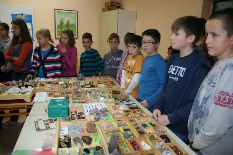 Razstava fosilov in mineralov