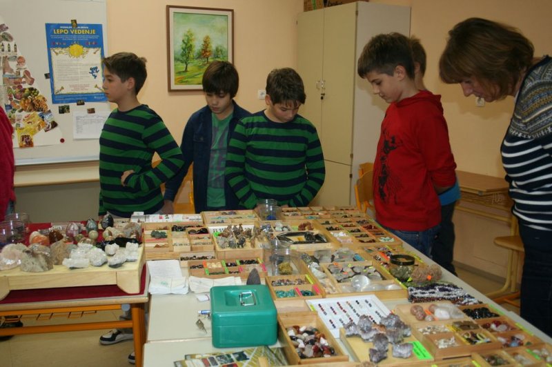 Razstava fosilov in mineralov