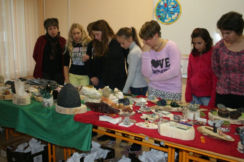 Razstava fosilov in mineralov