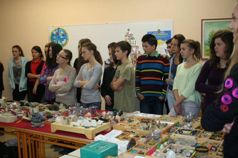 Razstava fosilov in mineralov