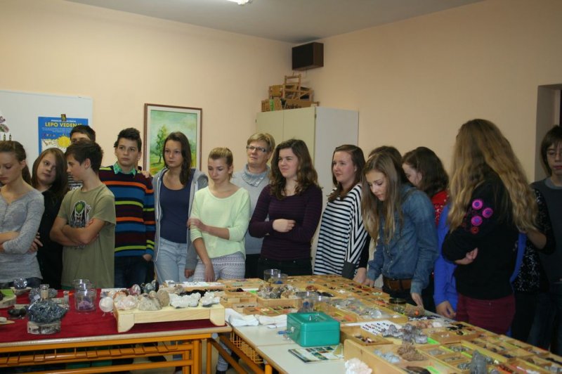 Razstava fosilov in mineralov