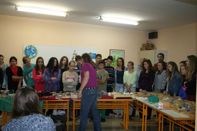 Razstava fosilov in mineralov