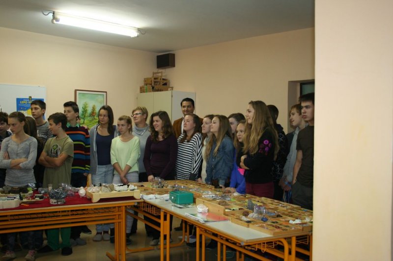 Razstava fosilov in mineralov