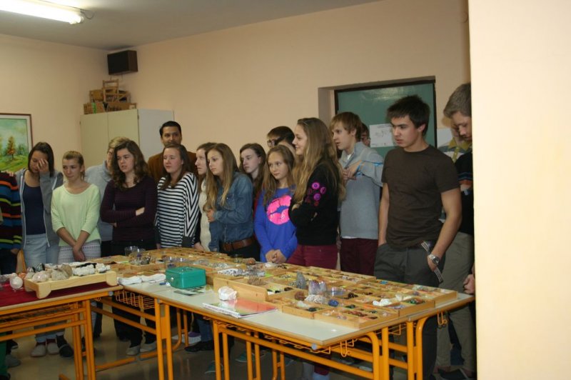 Razstava fosilov in mineralov