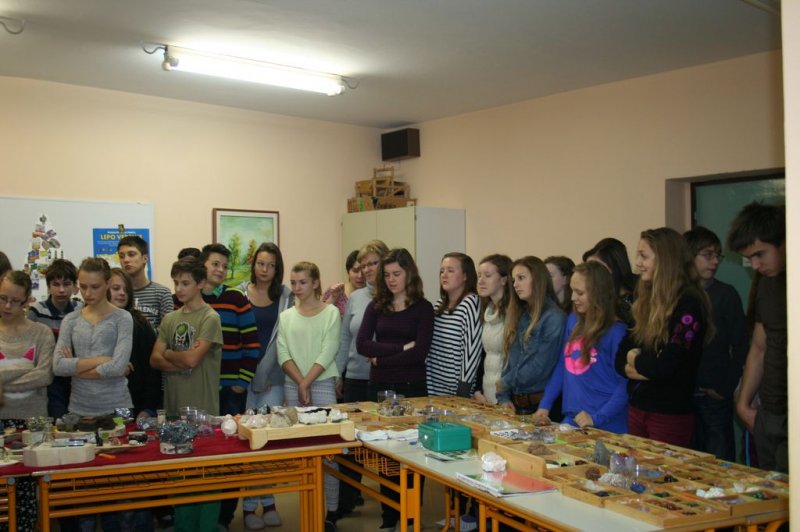 Razstava fosilov in mineralov