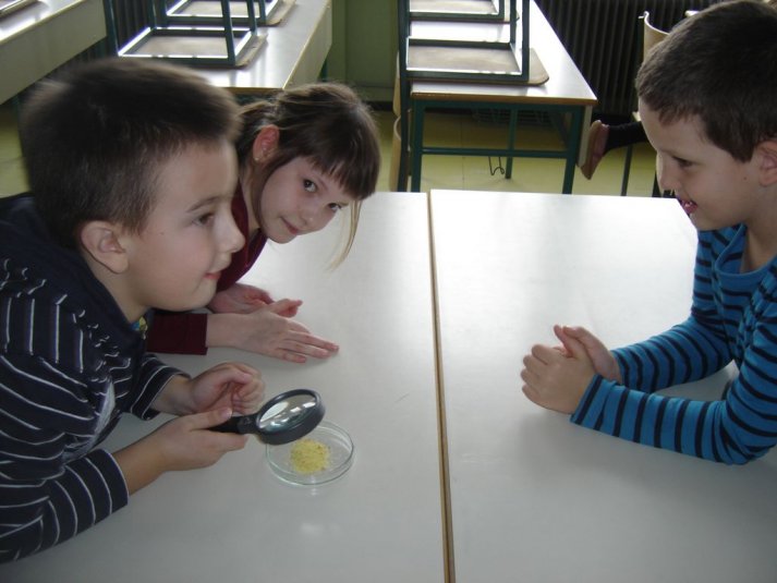 Medpredmetno sodelovanje - snovi