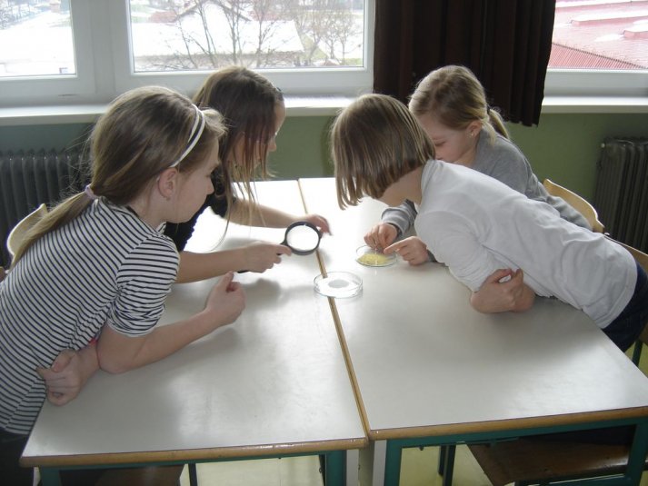 Medpredmetno sodelovanje - snovi